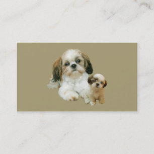 Shih Tzu Breeder  Business Card