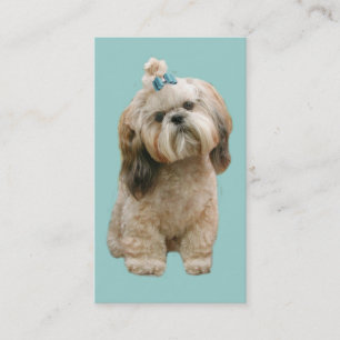 Shih Tzu Breeder Business Card
