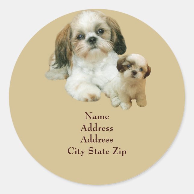 Shih Tzu Buddies Address Label (Front)