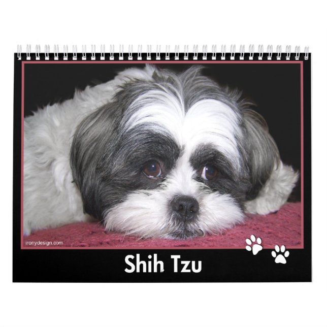 Shih Tzu Calendar (Cover)