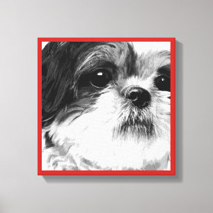 Shih Tzu Canvas Print