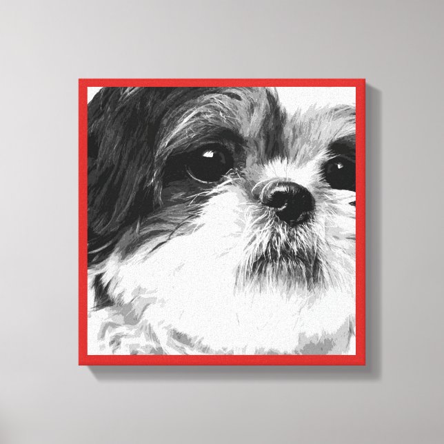 Shih Tzu Canvas Print (Front)