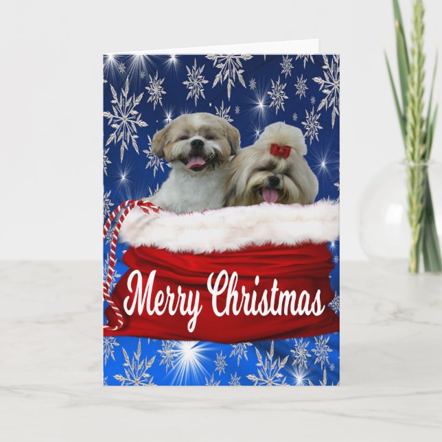Shih tzu Carte de voeux Noël (Devant)