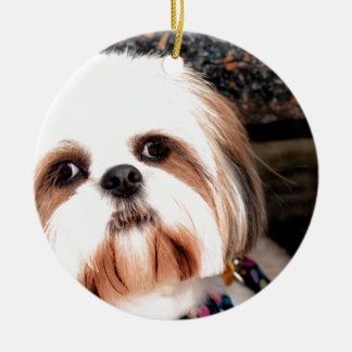 Shih Tzu Ceramic Ornament
