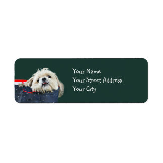Shih Tzu Christmas