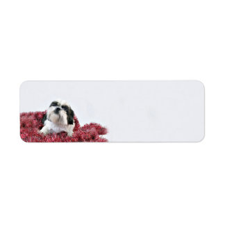 Shih Tzu Christmas