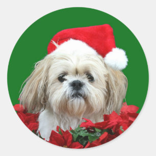 Shih Tzu Christmas Classic Round Sticker