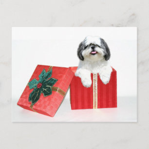 Shih Tzu Christmas gift Holiday Postcard