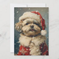 Shih Tzu Christmas