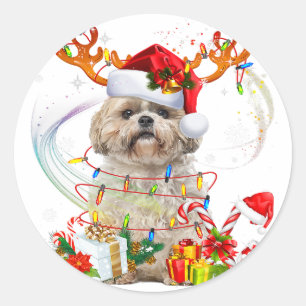 Shih Tzu Christmas Reindeer   Christmas Lights Classic Round Sticker