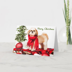 Shih Tzu (clped coat) Christmas Card