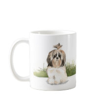 Shih Tzu