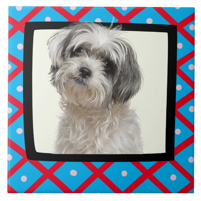 Shih Tzu customised photo frame Ceramic Tile (Front)