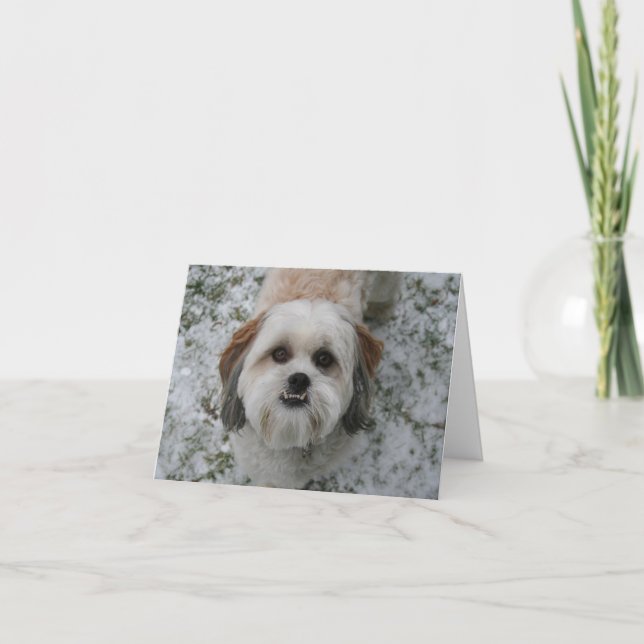 Shih-Tzu Cute Adorable Dog Holiday Christmas (Front)