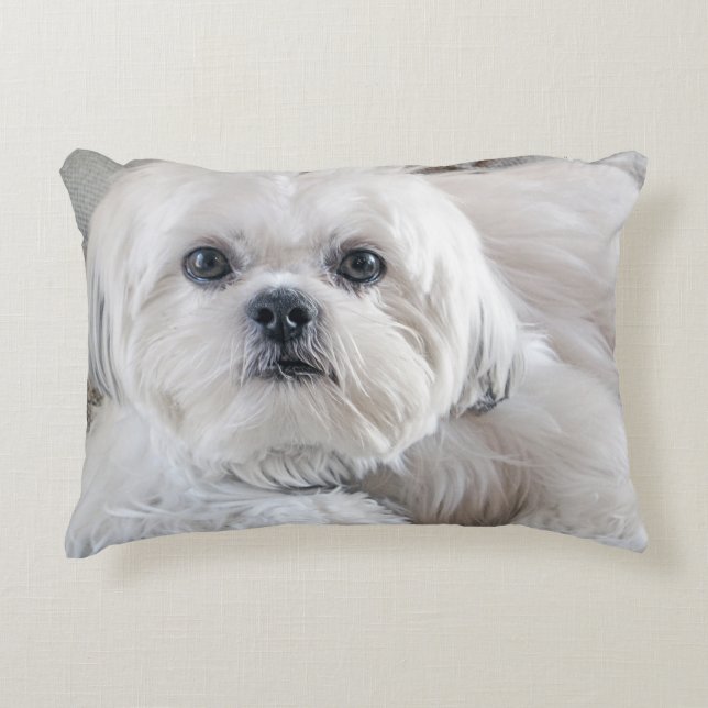 Shih Tzu Decorative Pillow (Front)