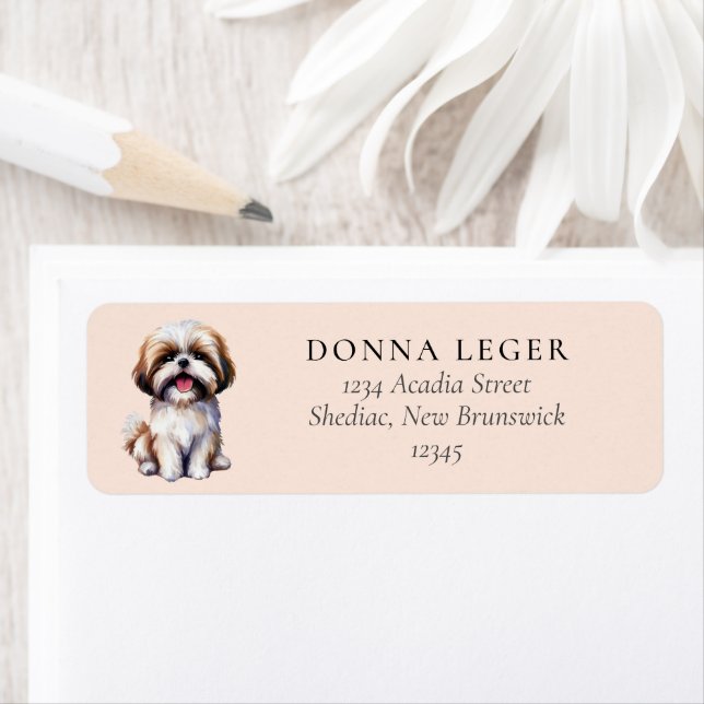 Shih Tzu Dog Address (Insitu)