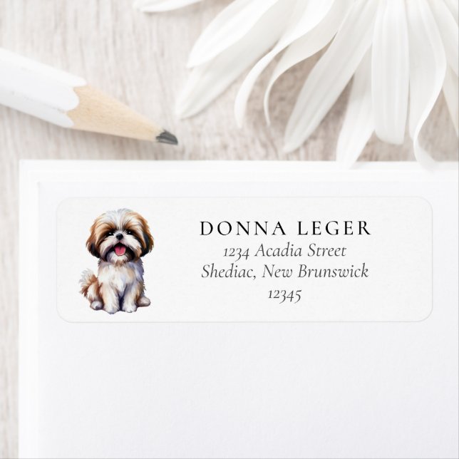 Shih Tzu Dog Address (Insitu)