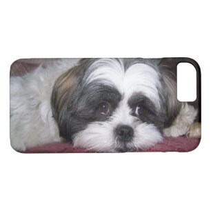 Shih Tzu Dog Case-Mate iPhone Case
