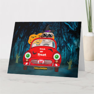Shih Tzu Dog Driving Car Scary Halloween  Card