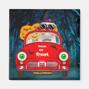 Shih Tzu Dog Driving Car Scary Halloween  Magnet