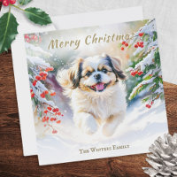 Shih Tzu Dog In Winter Snow Merry Christmas