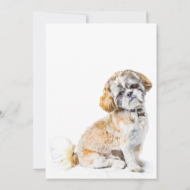 Shih Tzu Dog Invitation (Front)