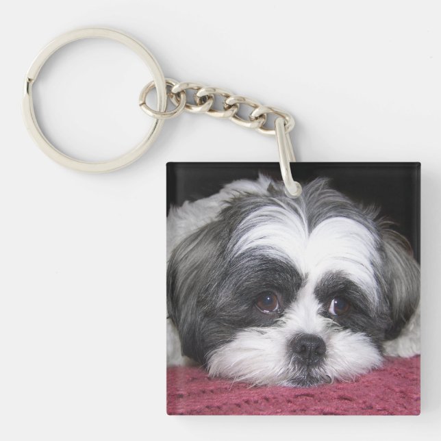 Shih Tzu Dog Keychain (Front)