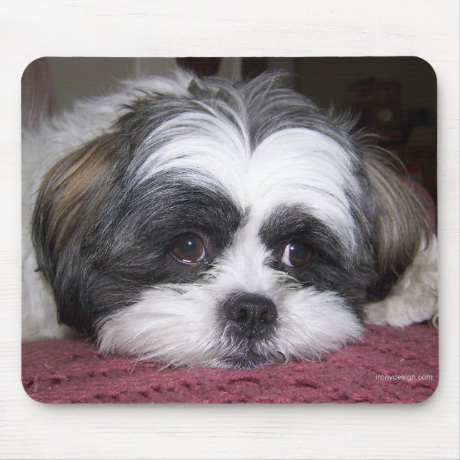 Shih Tzu Dog Mouse Pad (Front)