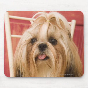 Shih-tzu dog mouse pad
