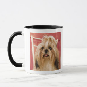Shih-tzu dog mug