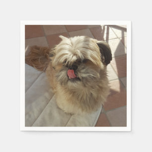 Shih Tzu dog paper napkins