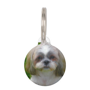 Shih Tzu Dog. Pet Tag
