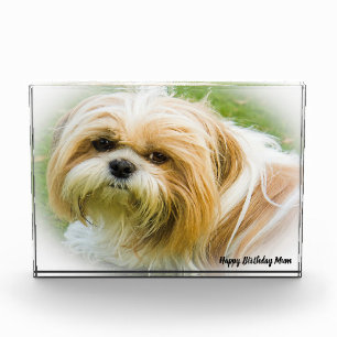 Shih Tzu Dog Photo Block