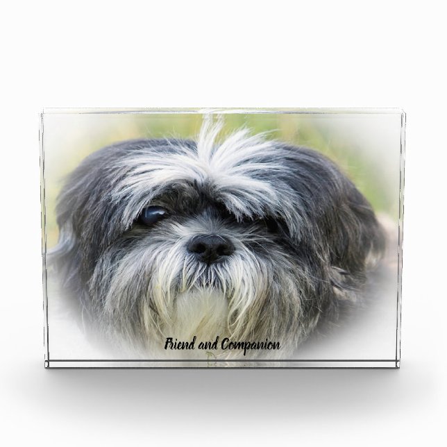 Shih Tzu Dog. Photo Block (Front)