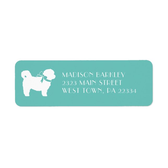 Shih Tzu Dog Puppy Teddy Bear Short Hair (Front)