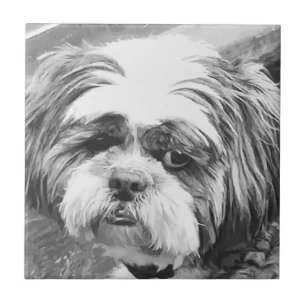 SHIH TZU DOG  TILE