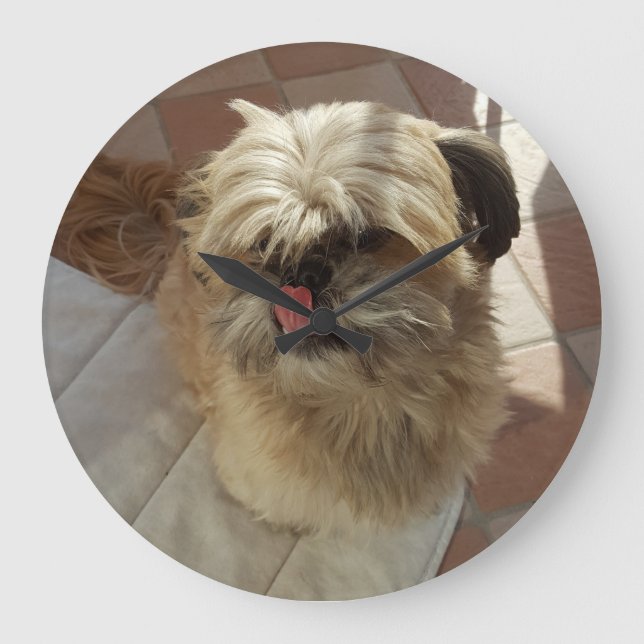 Shih Tzu dog wall clock (Front)
