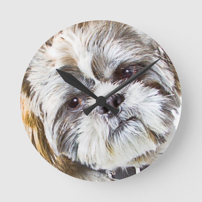 Shih Tzu Dog Wall Clock (Front)