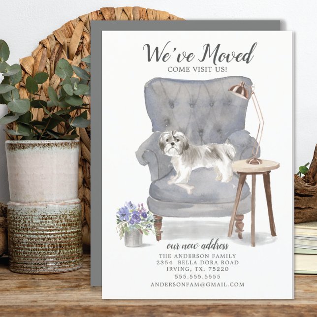Shih tzu Dog We've Moved Moving Announcement (Creator Uploaded)