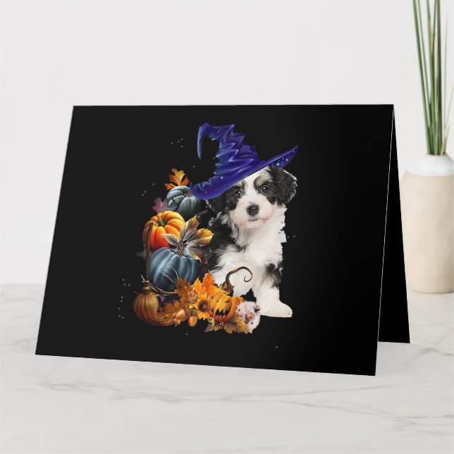 Shih Tzu Dog Witch And Pumpkins Halloween Thanksgi Card (Front)