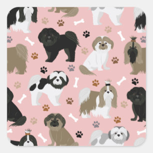 Shih Tzu Dogs Paws and Bones Square Sticker