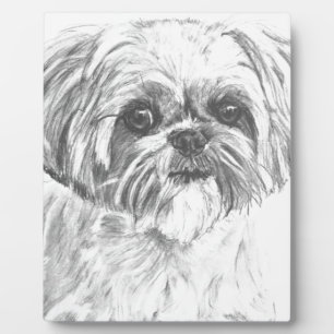 Shih Tzu Drawing Plaque