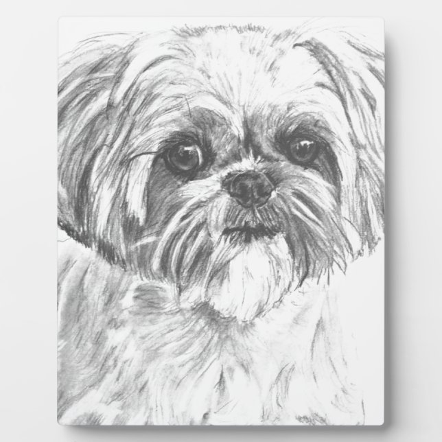 Shih Tzu Drawing Plaque (Front)