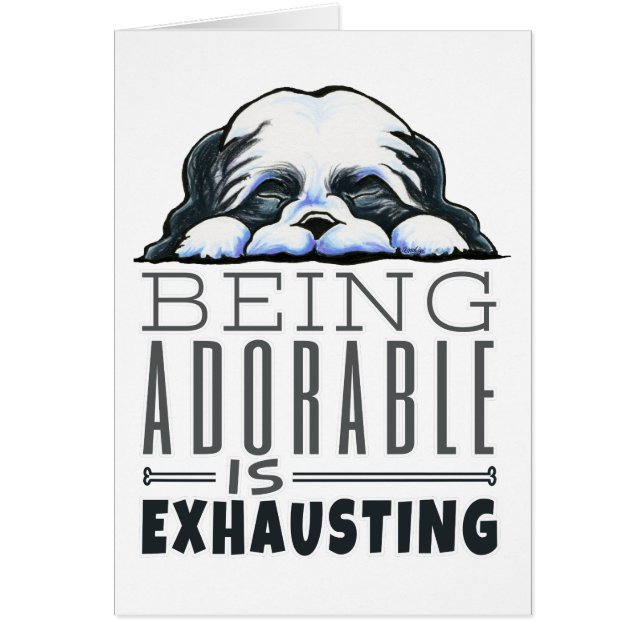 Shih Tzu Être adorable (Devant)