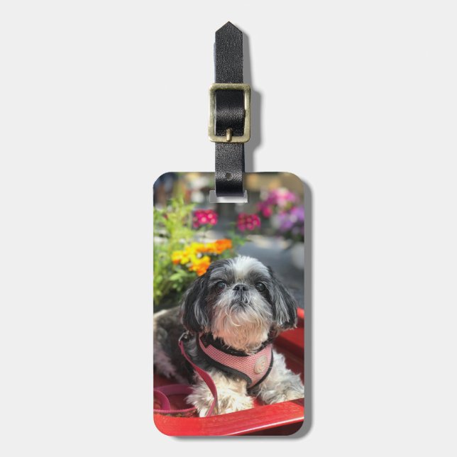 Shih Tzu Girl  Luggage Tag (Front Vertical)