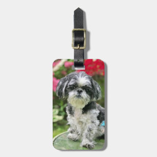 Shih Tzu Girl Luggage Tag