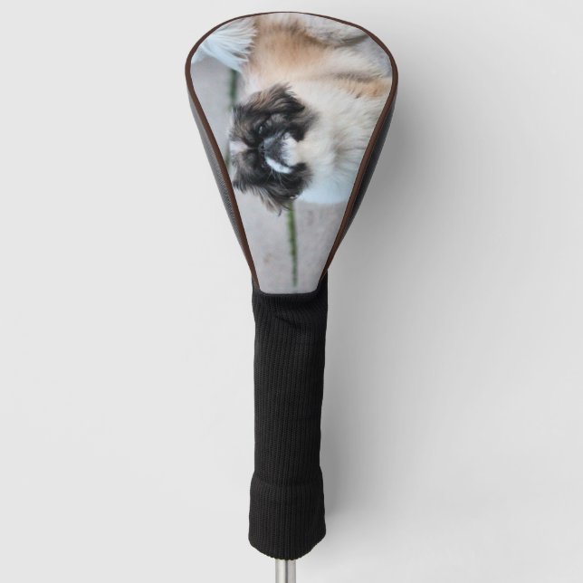 Shih Tzu Golf Head Cover (Front)