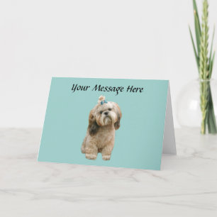 Shih Tzu Greeting Card