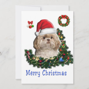 Shih tzu holiday card