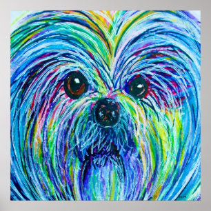 Shih Tzu Intense Colours Poster